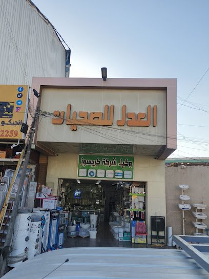 العدل للصحيات