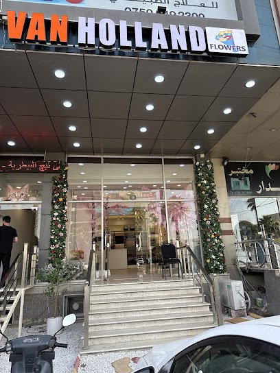 Van holland flowers
