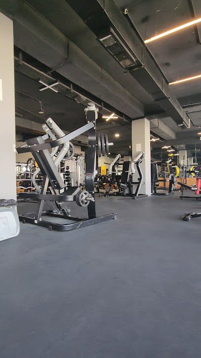 Art GYM